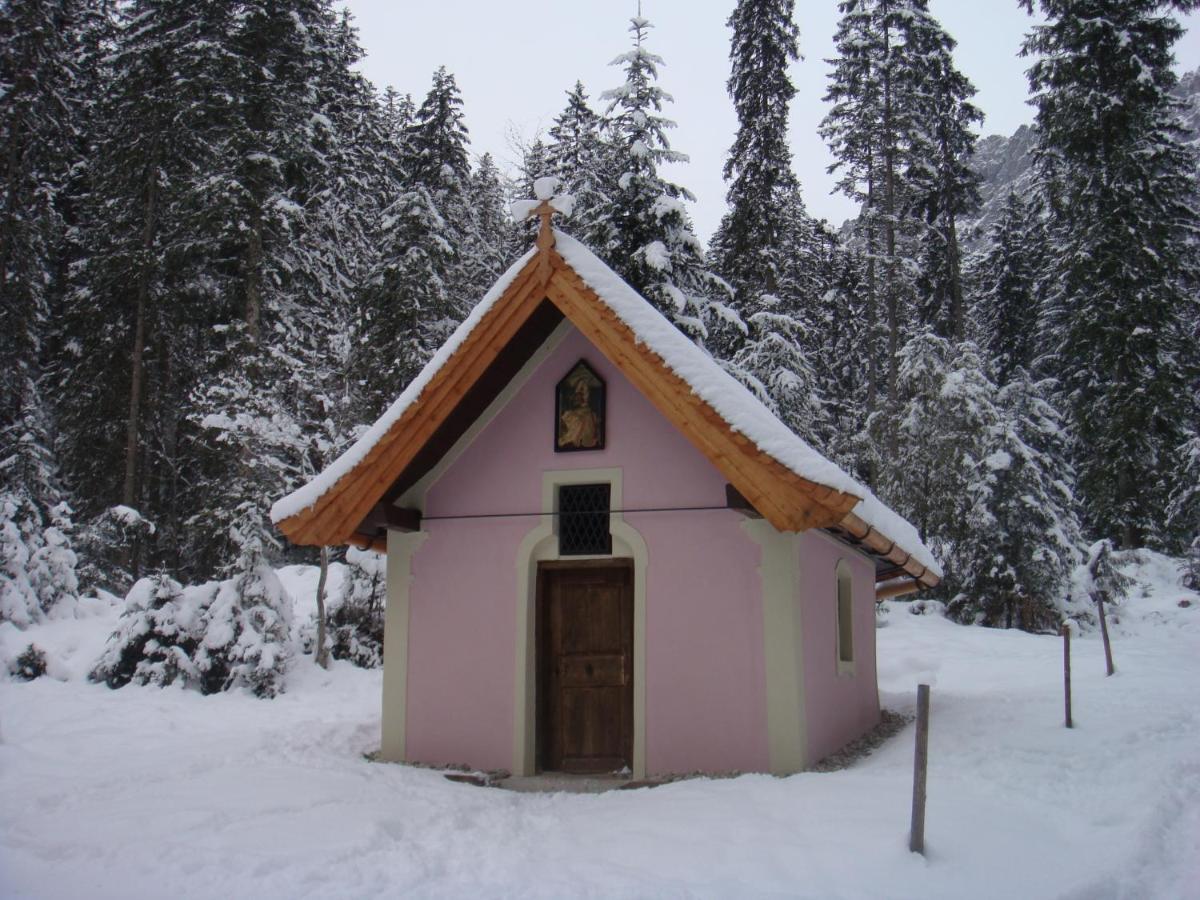 Otto Steiner Appartements Pension Ellmau & Wilder Kaiser Zewnętrze zdjęcie